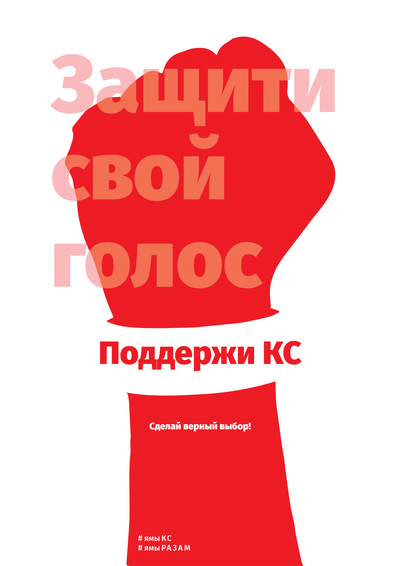 Материалы для печати /agitation/advertisements/coordinating-council/img/protect-your-voice-wrw-2.png